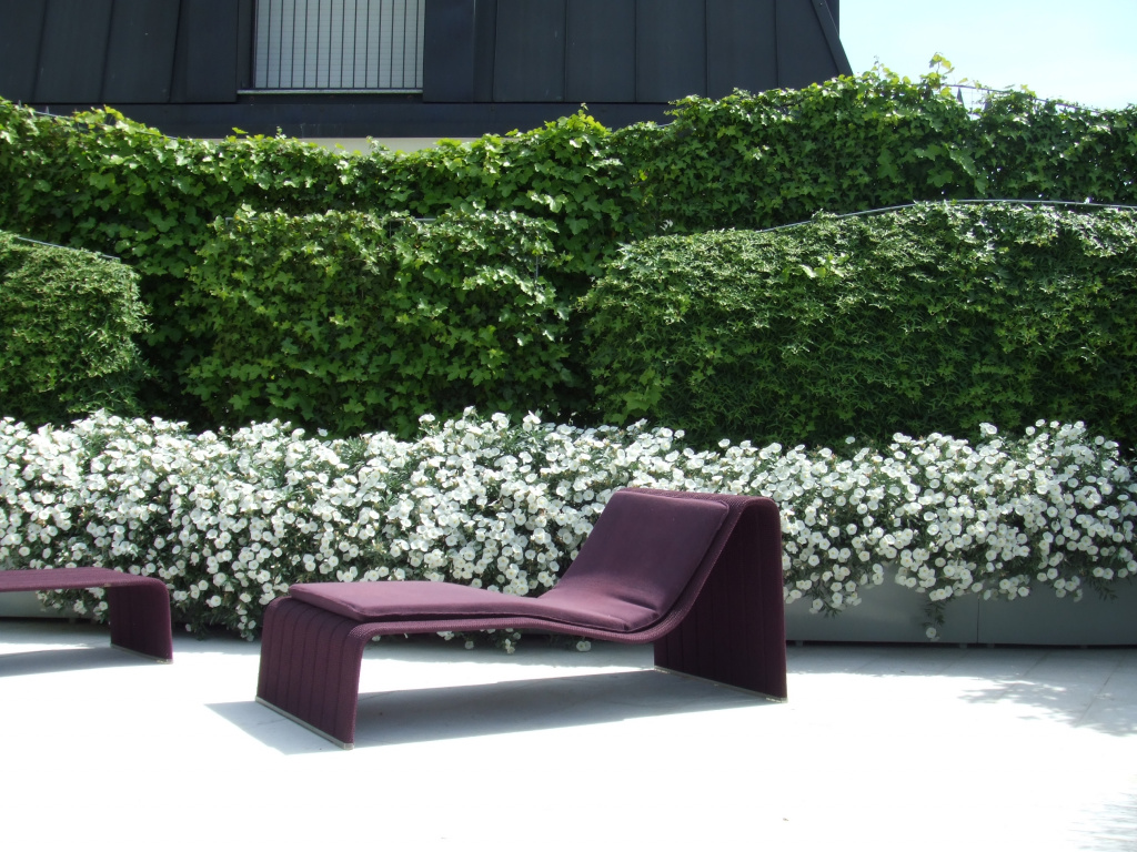 DPmag09-2-1.jpg DPmag09-2-1.jpg